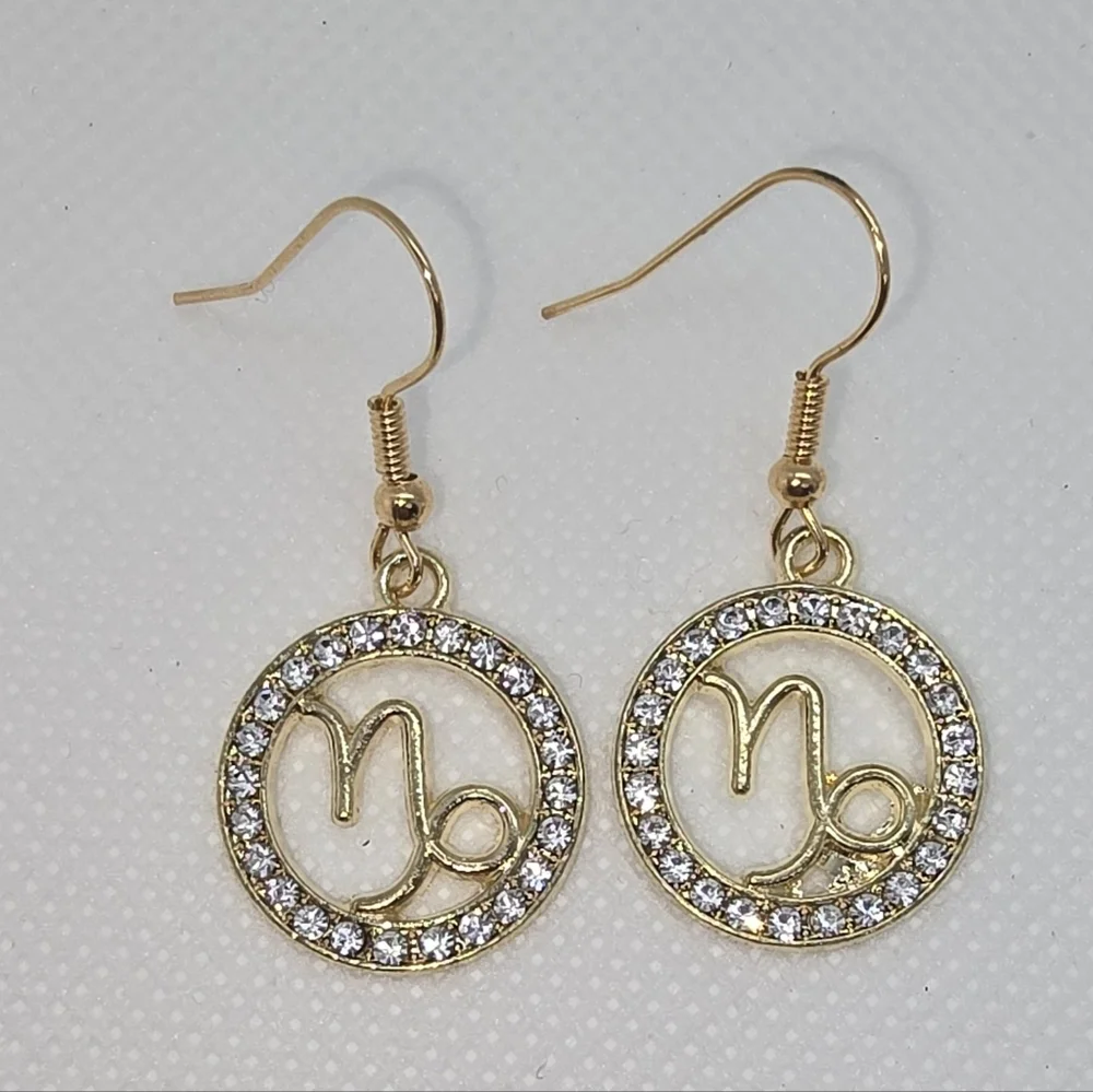 Zodiac Sign Hook Earrings! Hypo-Allergenic Handmade Gold Color with Cubic Zircon